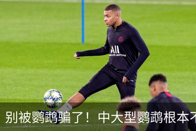 别被鹦鹉骗了！中大型鹦鹉根本不是宠物，是会飞的野生猛禽！